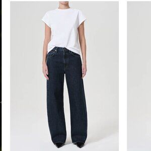 AGOLDE Low Curve Jean in Pendulum Size 28 EUC Relaxed Tapered Jeans